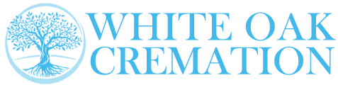 footer-logo-image