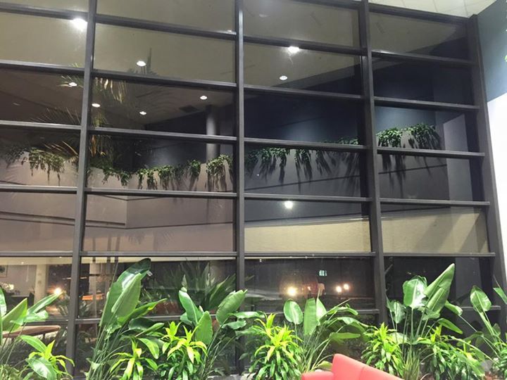 commercial window tinting west palm beach