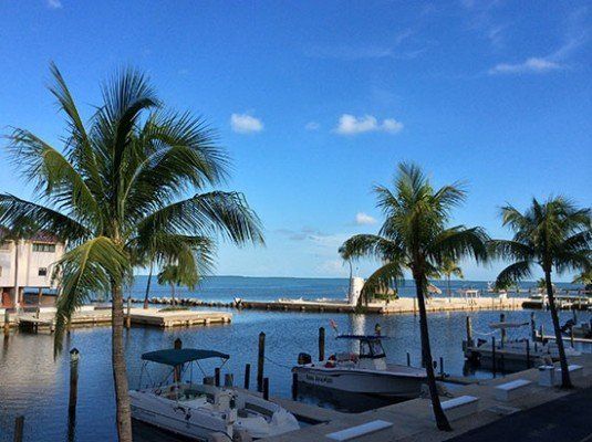 home window tinting by me