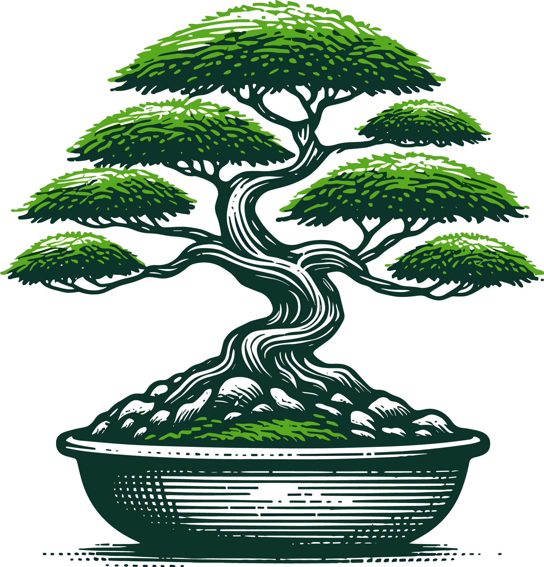Bonsai tree with green leaves in a dark green pot; stylized illustration.
