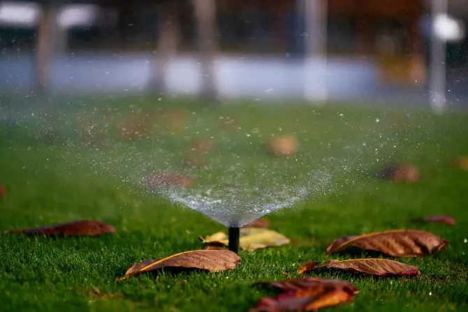 Sprinkler spraying water onto a green lawn with fallen brown leaves.