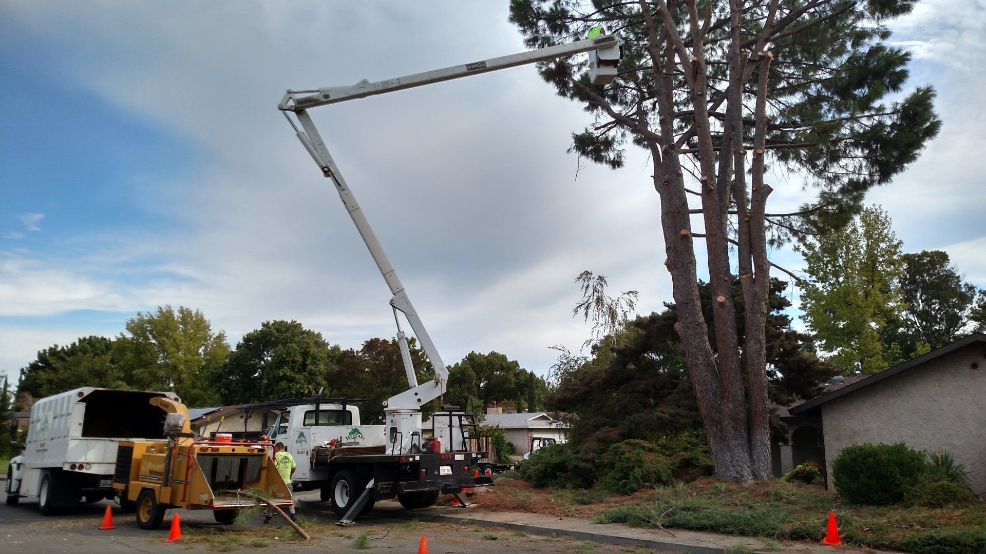 Commercial — Tree Cutting Using Heavy Equipement in Chico, CA