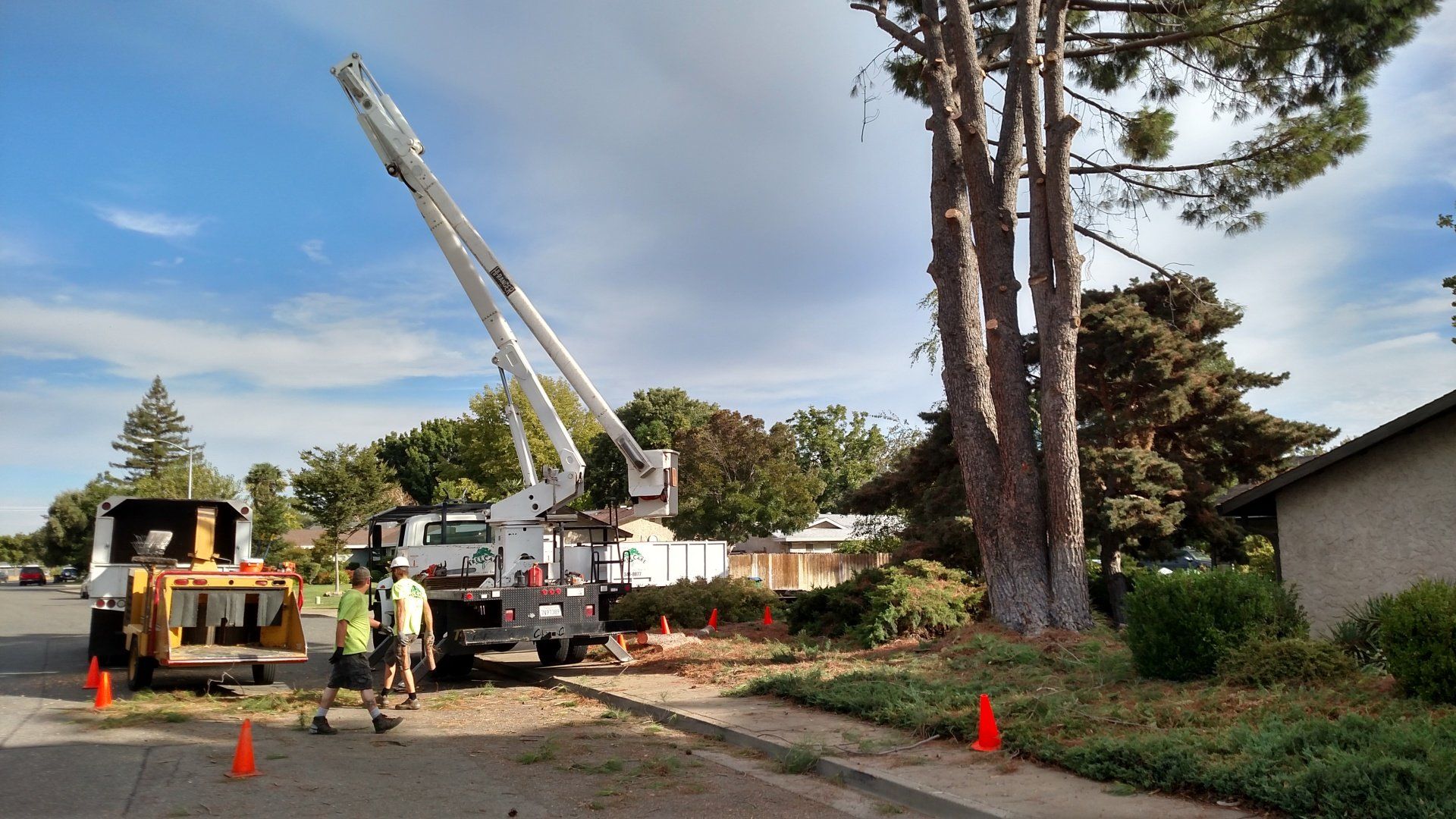 Lot Clearing — After Tree Prunning in Chico, CA