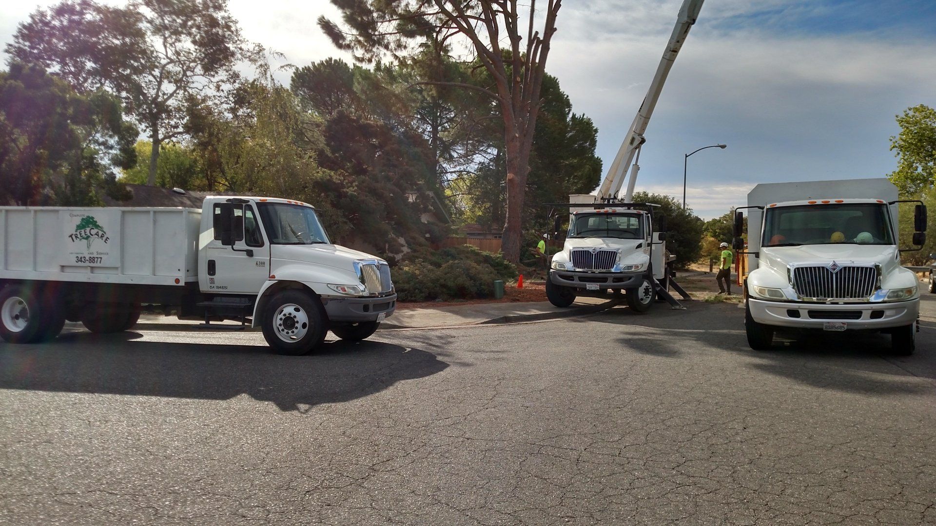 Trimming — Two Heavy Machine Use to Trim Tree in Chico, CA