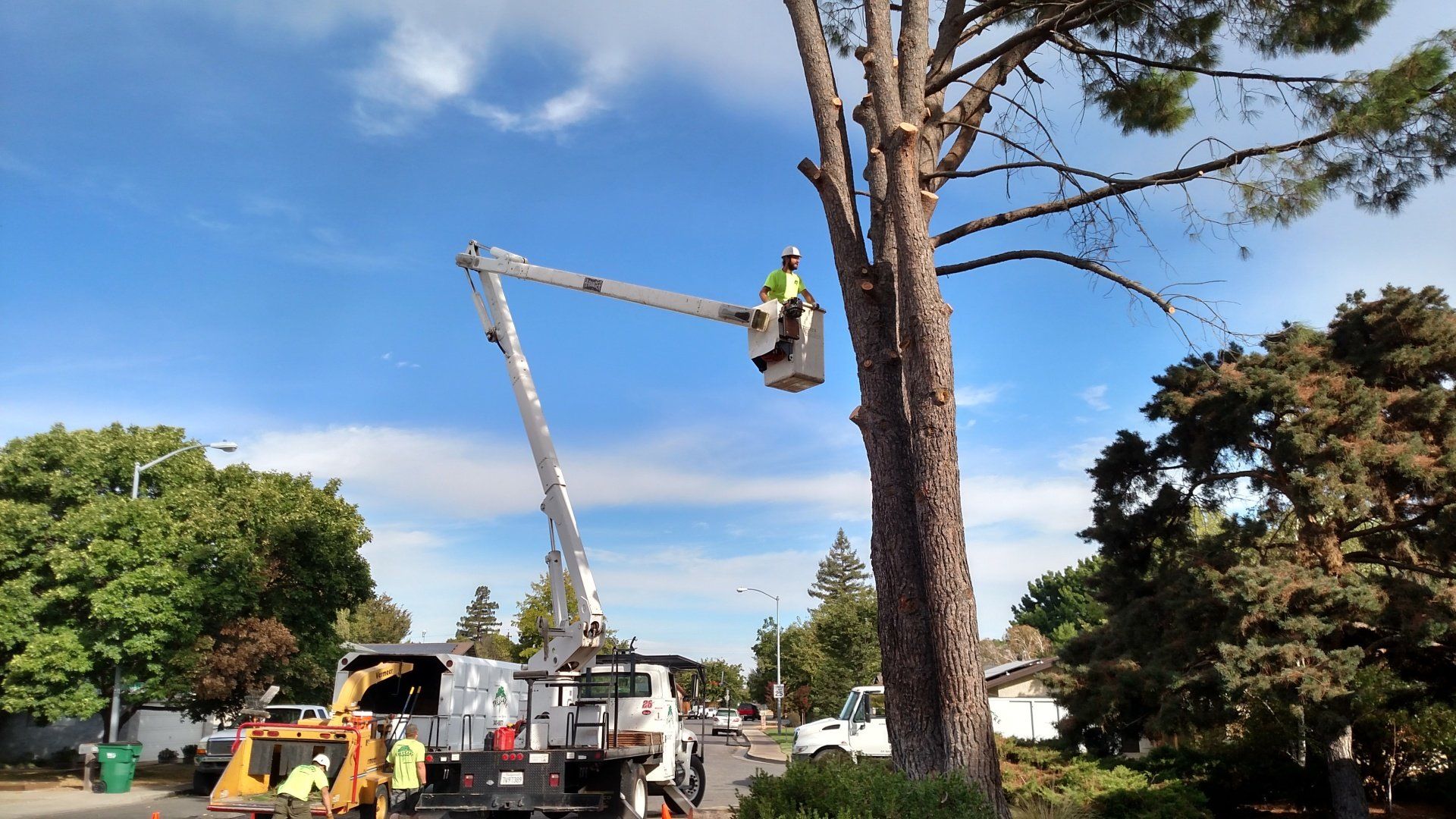 Butte County — Lumberjack Lifts using Heavy Machine in Chico, CA