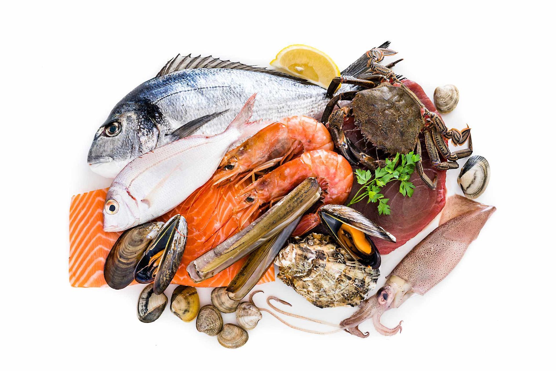 Seafoods | Rosebud, VIC | Goldrim Food Services
