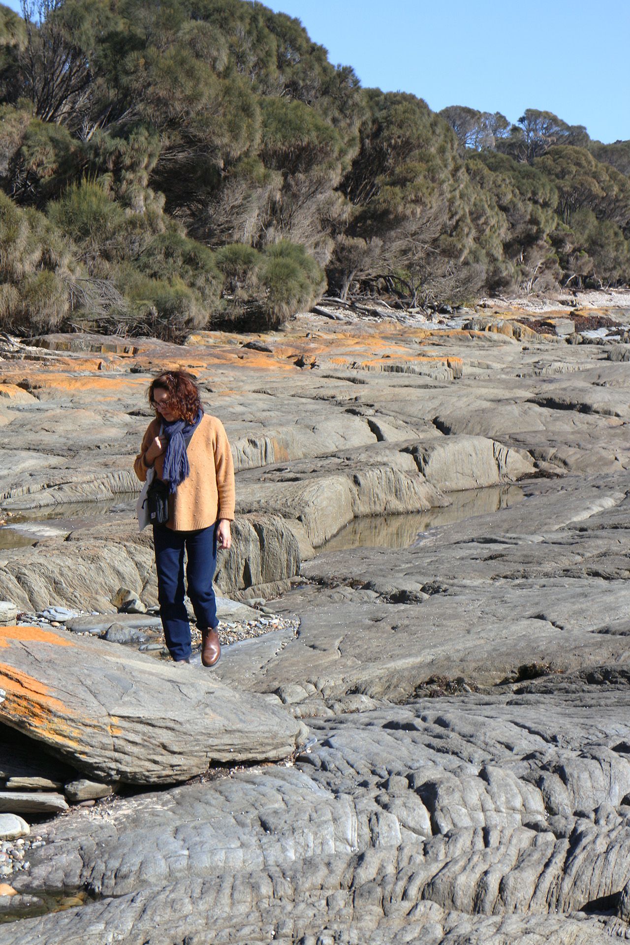 Person standing on rocky shoreline beside trees under a blue sky