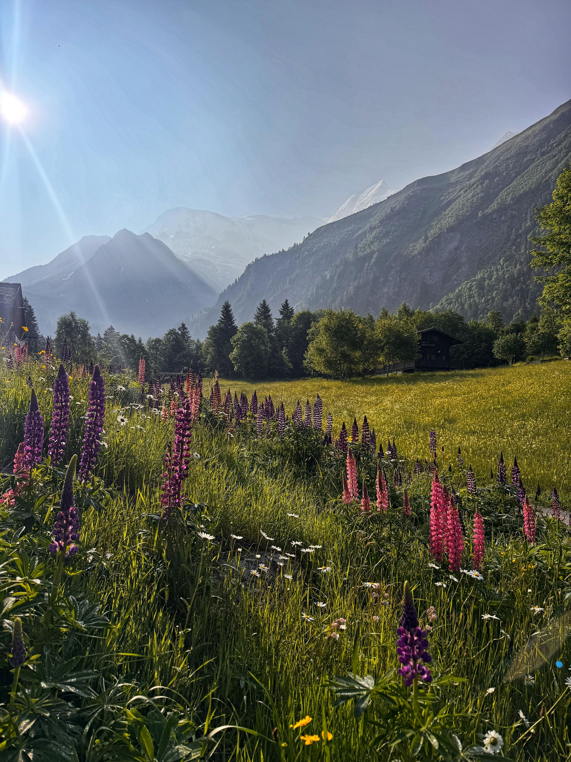 Chamonix au printemps