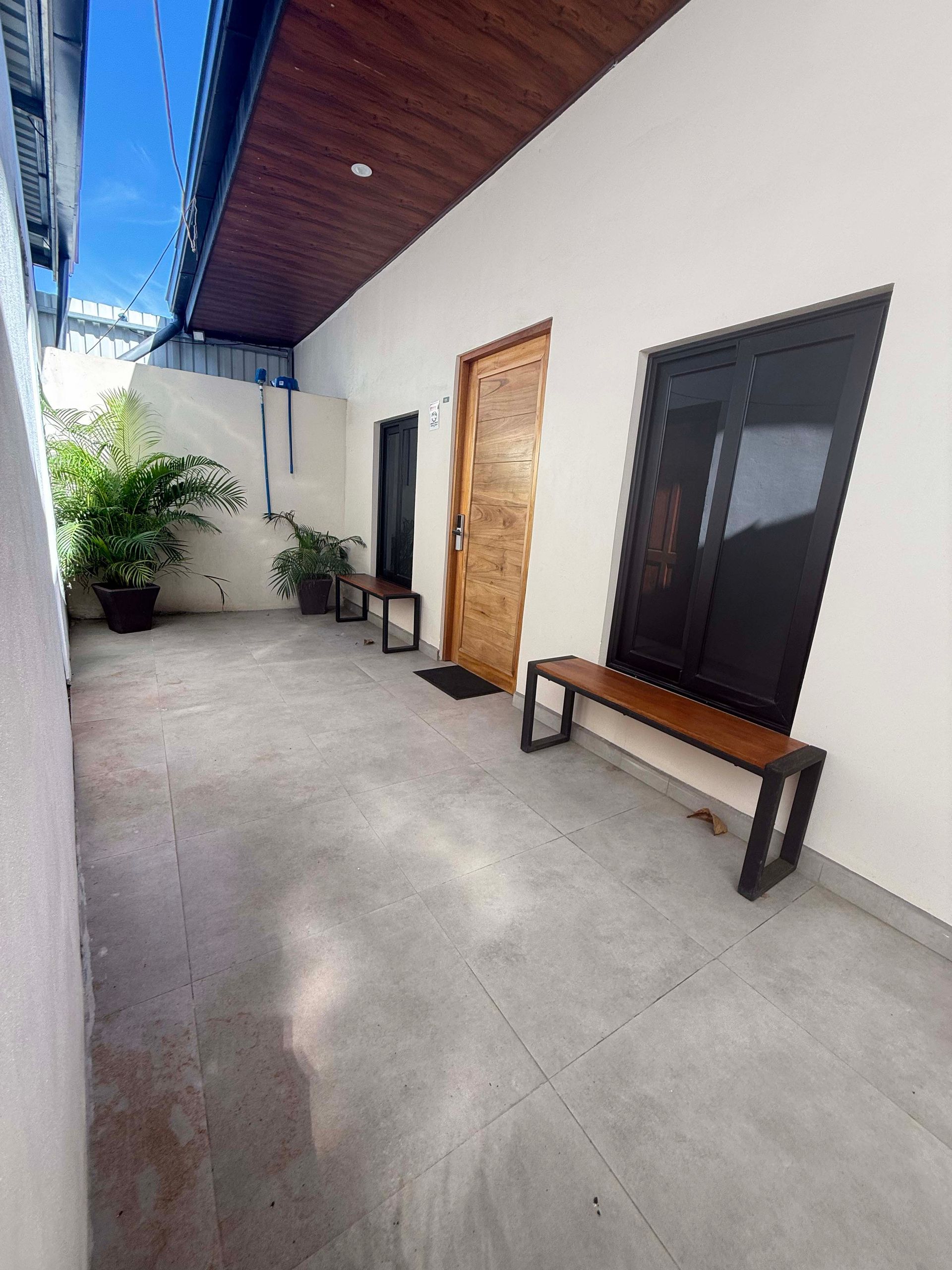 Outdoor hallway with wooden door and benches, potted plants, and white walls.
