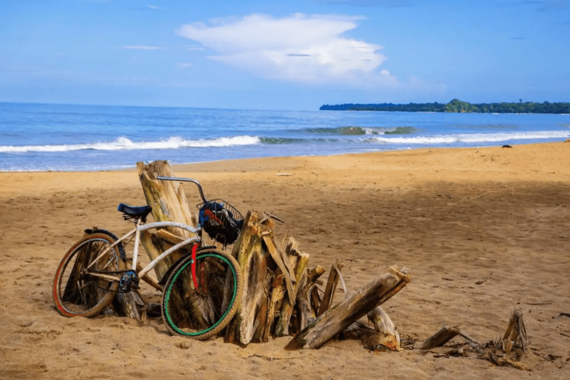 Bicycle on a sandy beach, leaning against driftwood, ocean and blue sky in the background.
