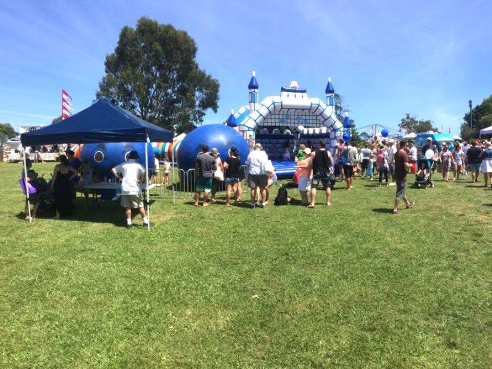 Large Inflatable Ride For Hire