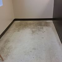 Floor Restoration