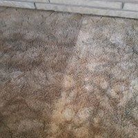 In-Tech Carpet Cleaning