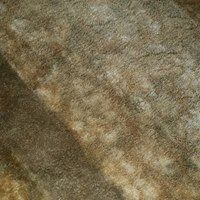 In-Tech Carpet Cleaning