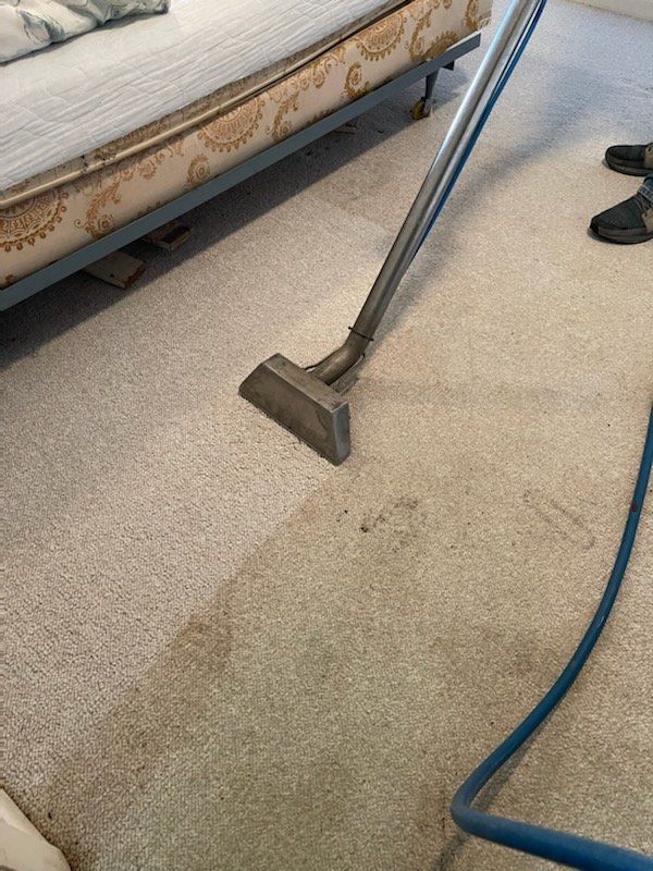 Carpet Cleaning