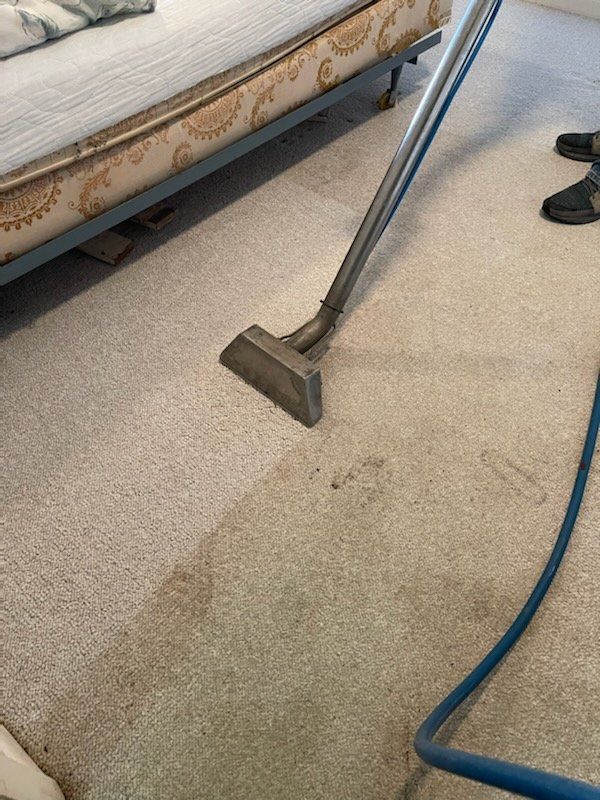carpet cleaning for striped carpet