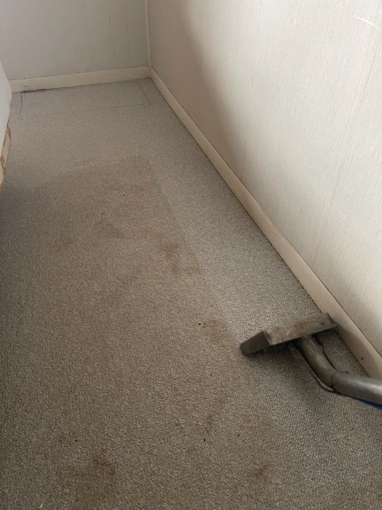 hallway carpet cleaning before and after