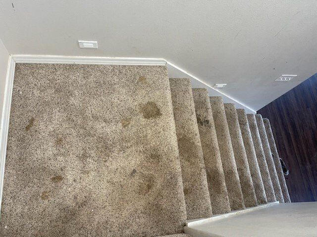 stairs carpet cleaning before