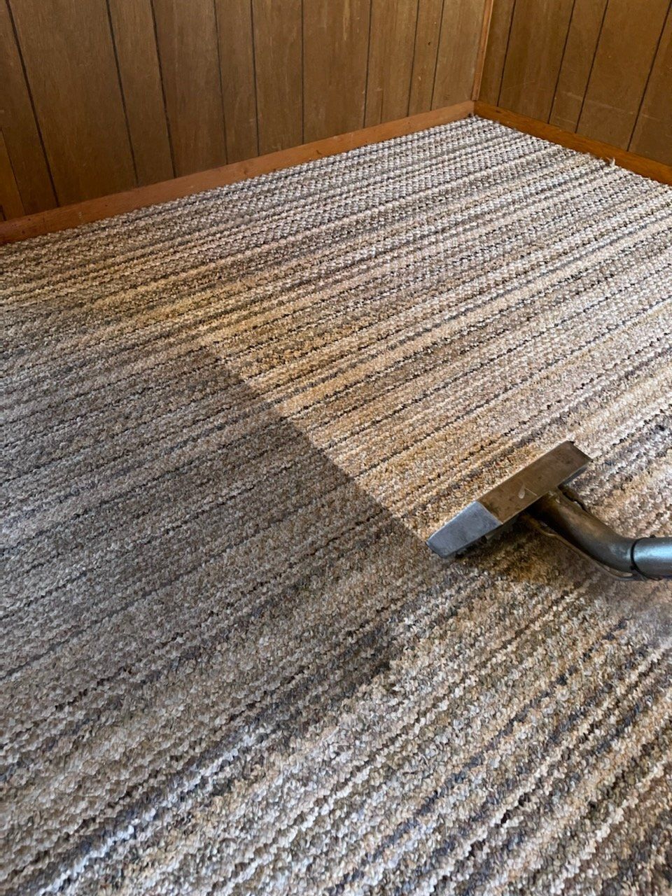 Carpet Cleaning before and after