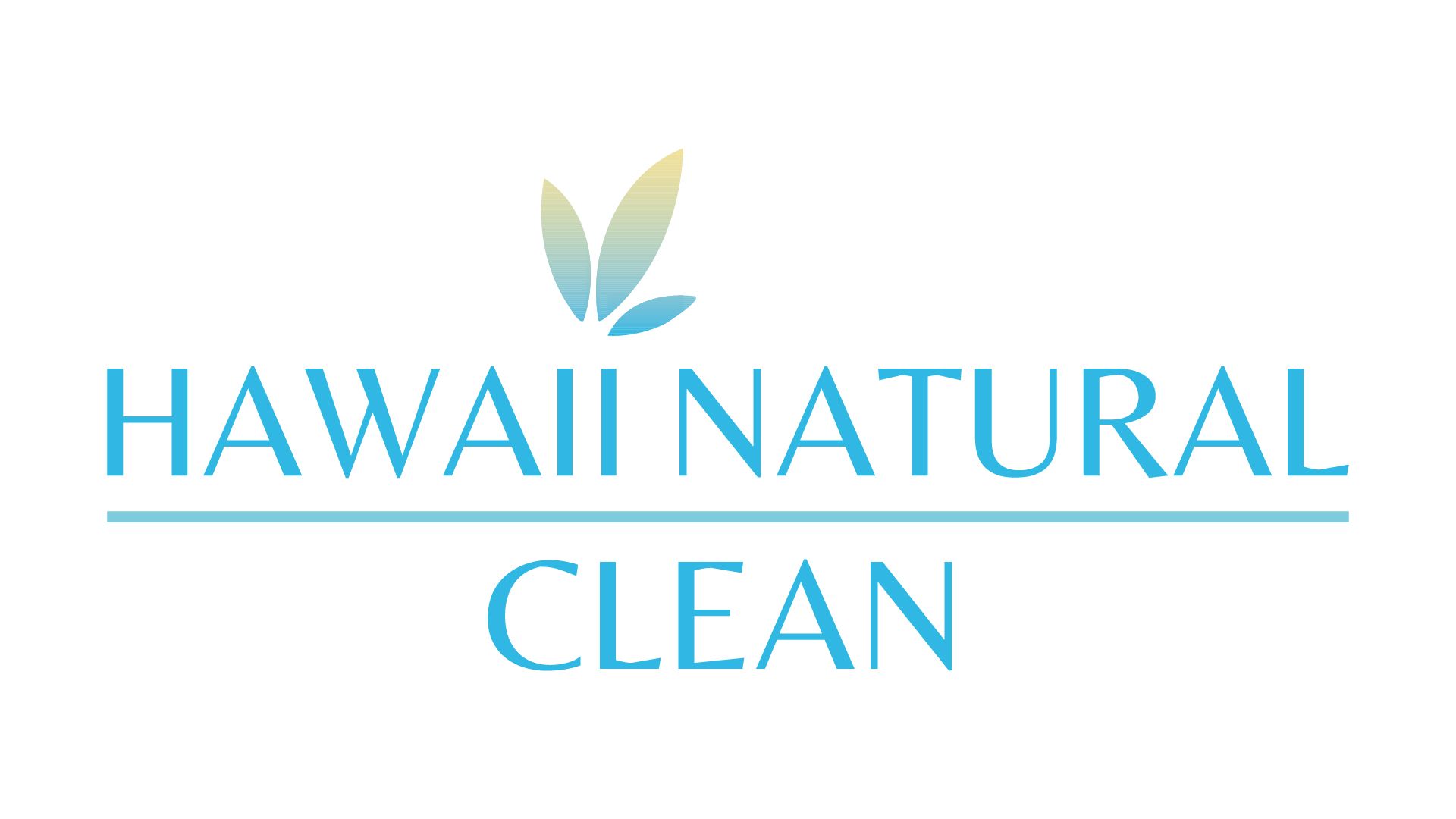 Hawaii Natural Clean logo with a blue and yellow leaf design above text.