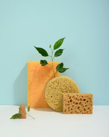 Sponges of different shapes and colors with green sprig on a white surface against a light blue backdrop.