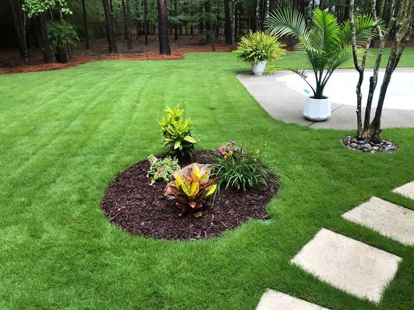 A Picture Containing Landscaping, Outdoor, Yard, Lawn — Goose Creek, SC — Prestige Landscaping LLC