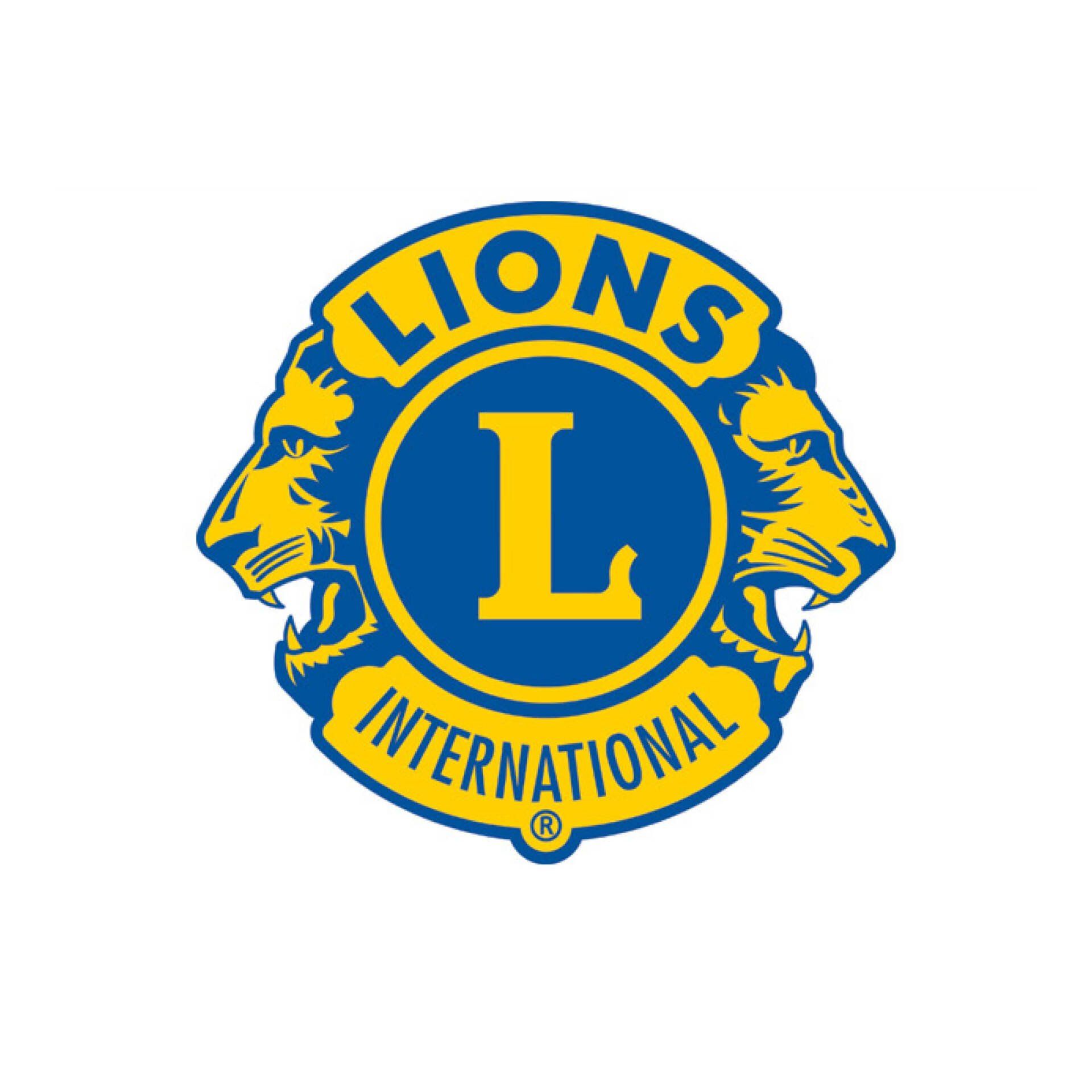 Lions sin logo