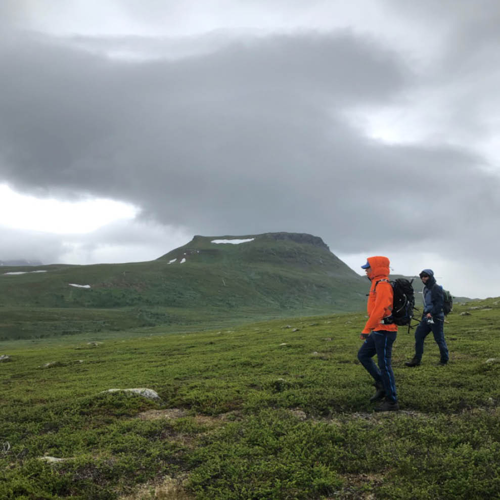 Medarbeidere i A. Aulie på teambuilding-tur i fjellet.