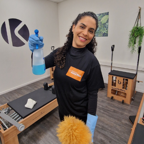 Femmes de ménage easynet Services