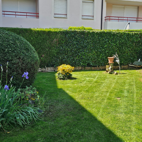 Entretien espaces verts particuliers