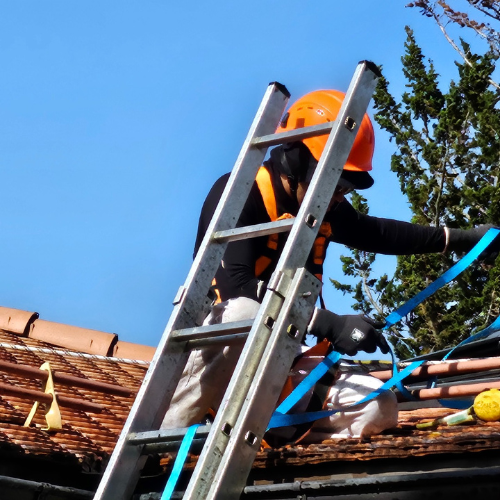 Entretien espaces verts - Genève