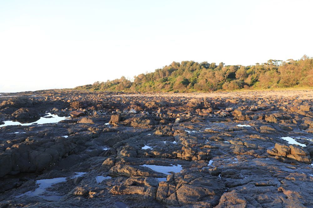Rocky Shoreline with Dark Tide Pools and A Sunlit — Pasiv Fire in Kiama, NSW