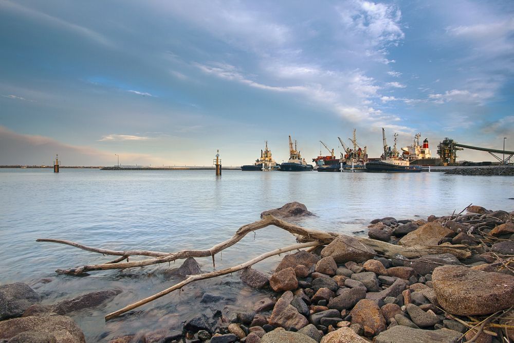 Rocky Shoreline with Driftwood — Pasiv Fire in Port Kembla, NSW