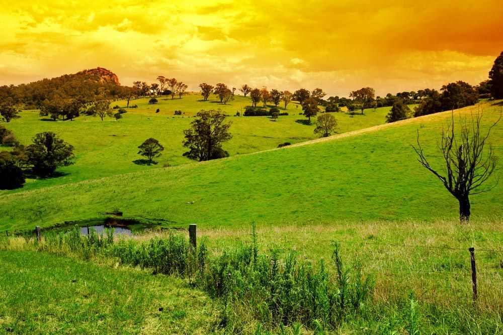 Photo Of A  Farmland — Fire Protection in Bega, NSW
