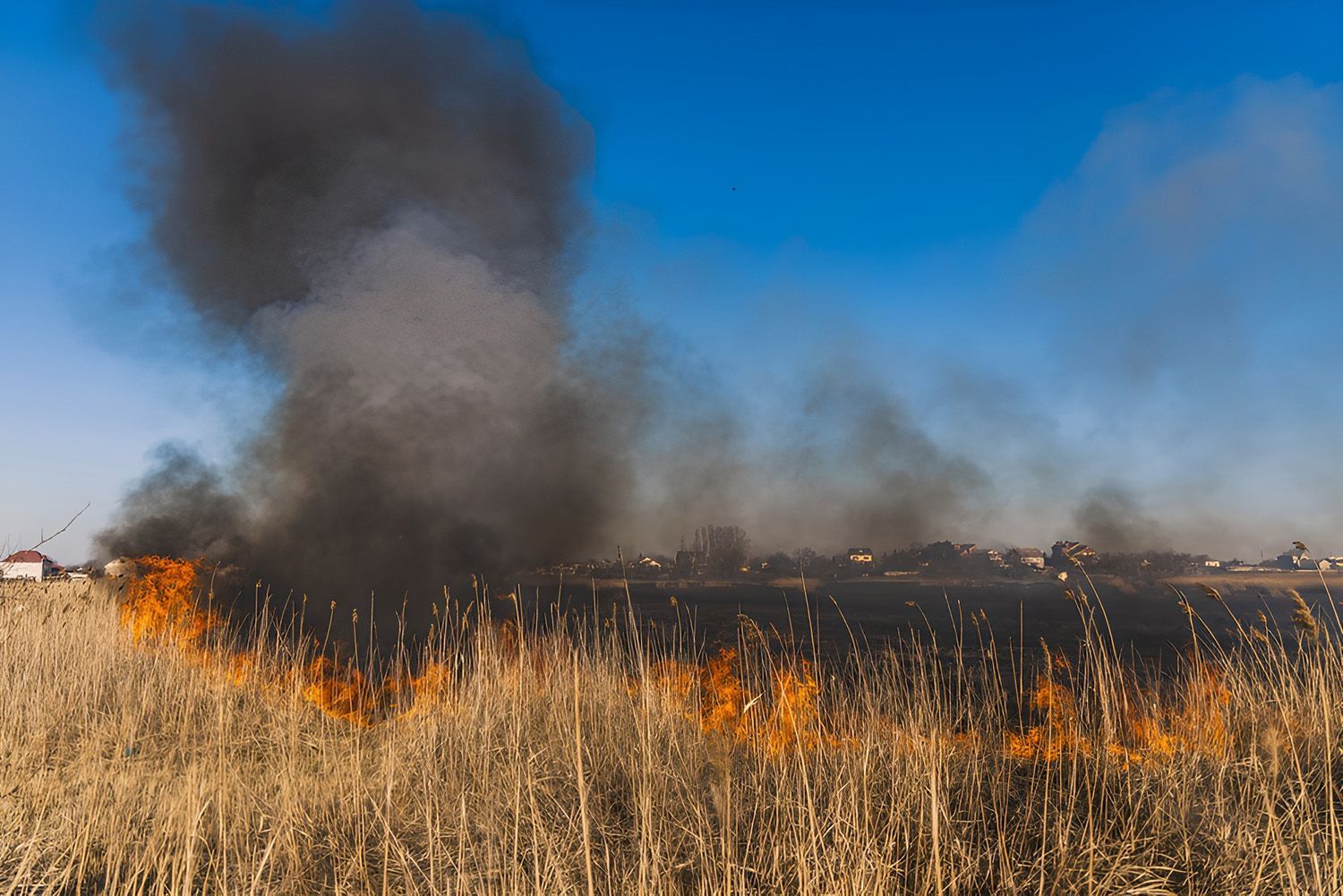 Fire Burning on Dry Grass Field