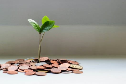 A small plant sprouting from a pile of coins, representing financial growth.