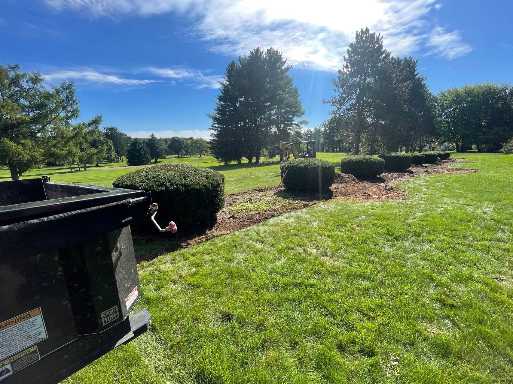 Sunny park lawn with trimmed hedges, tall trees, and a bench under a blue sky