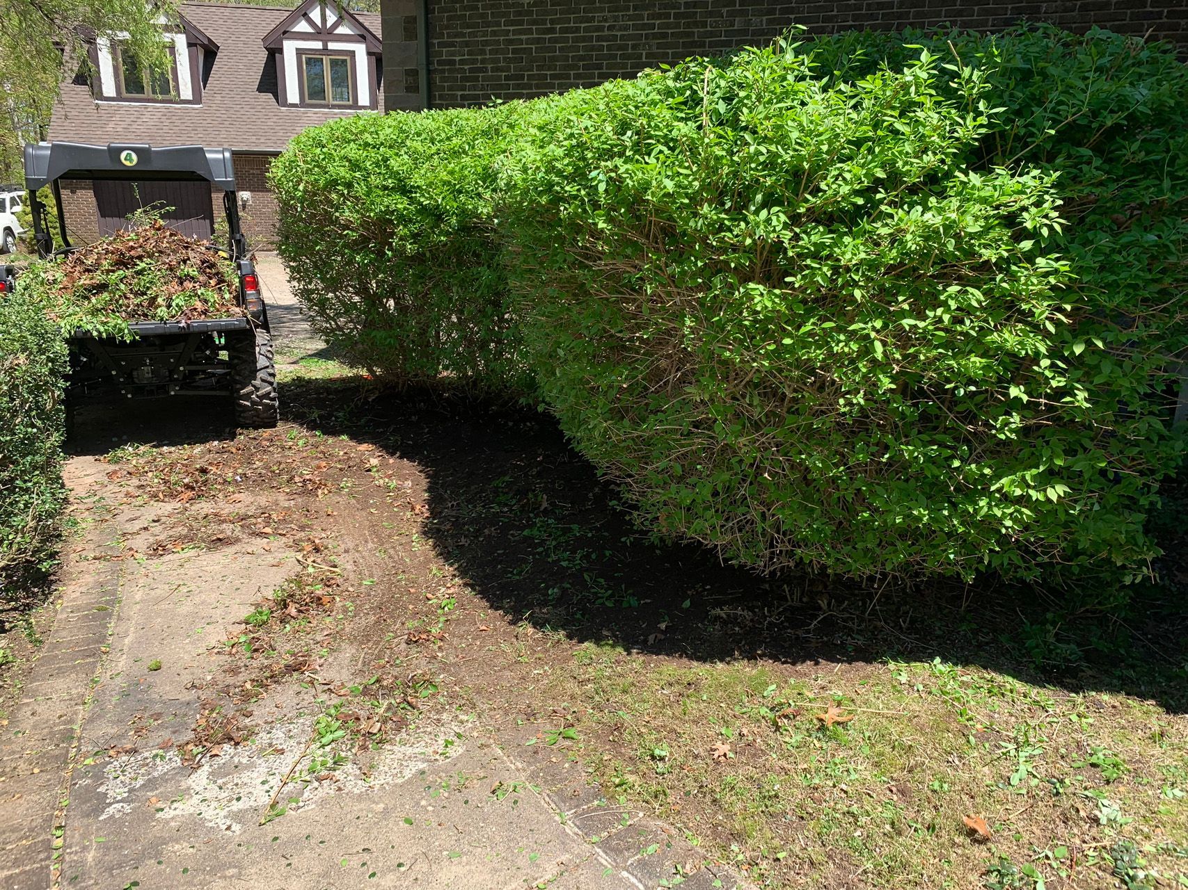 Driveway beside a large green hedge leading to a house and parked vehicle