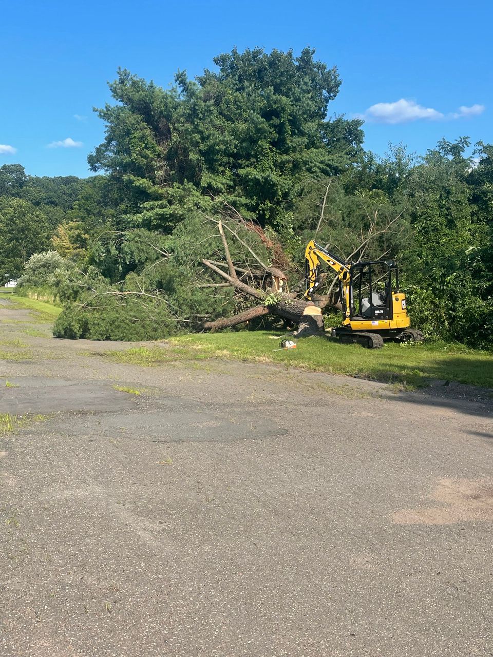 Yellow excavator clearing fallen tree branches beside a paved road under a blue sky