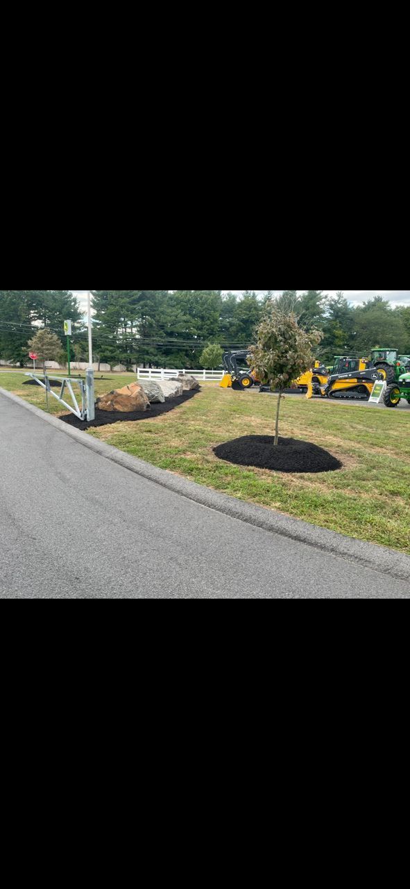 Roadside landscaping with mulch beds, young trees, and yellow construction equipment in the background