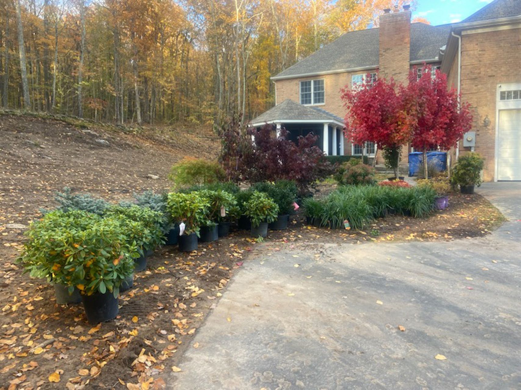 Residential driveway with landscaped garden beds, red shrubs, and autumn trees beside a brick house