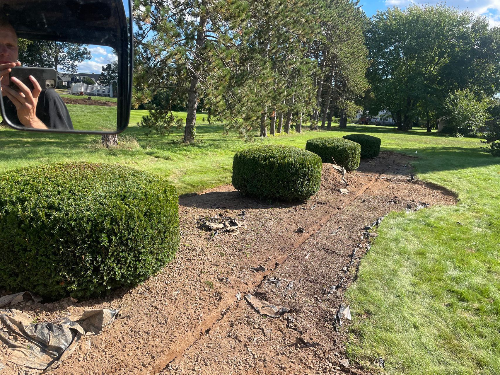 Neatly trimmed green shrubs along a mulched garden bed in a sunny park.