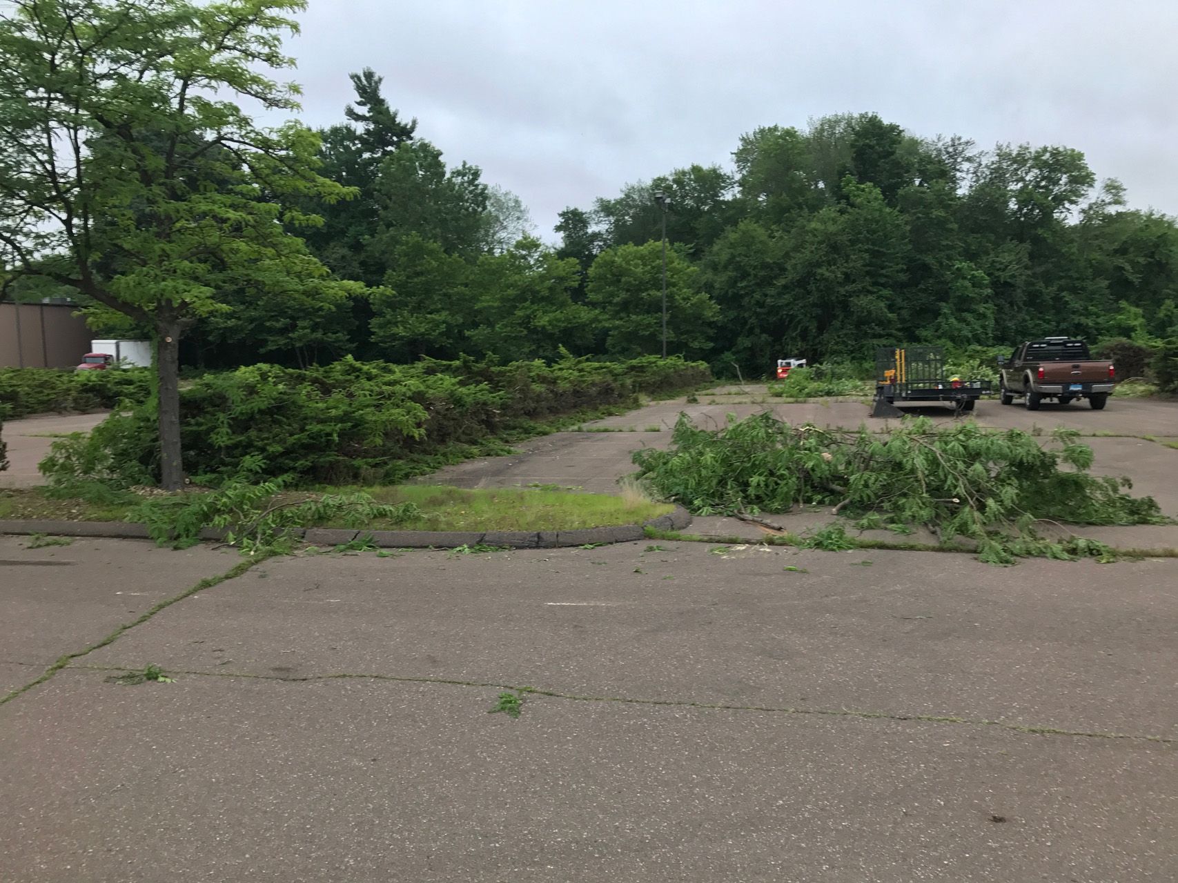 Storm-damaged parking lot with fallen tree branches blocking the road near parked trucks