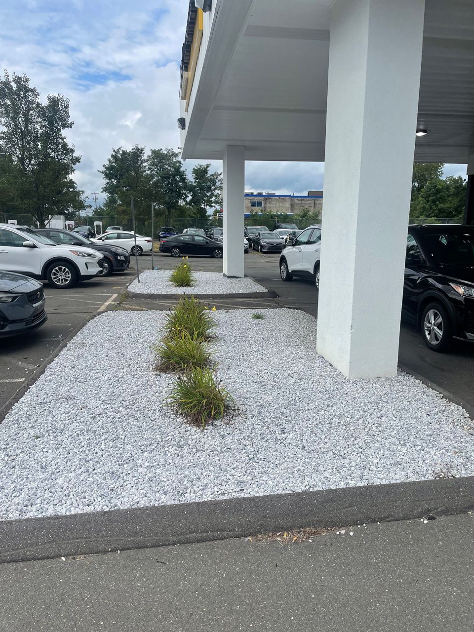 Parking lot with white gravel landscaping, small shrubs, and parked cars beside a building