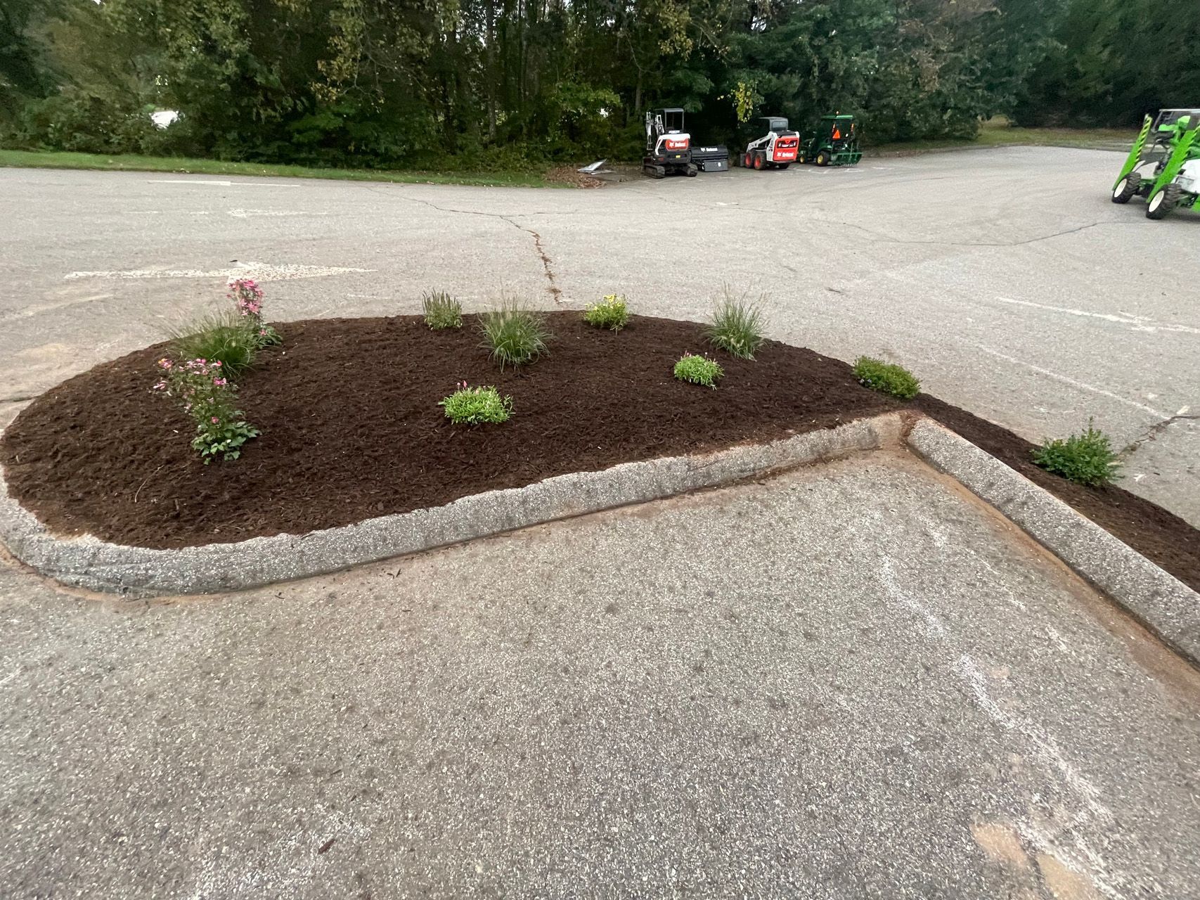 Mulched planting bed with small shrubs in a parking lot, bordered by concrete curbing.