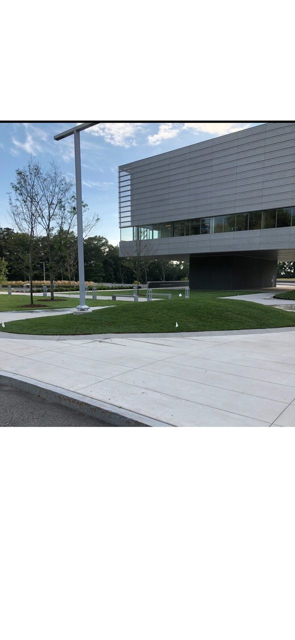 Modern office building beside a grassy lawn and sidewalk, with a streetlamp and trees nearby
