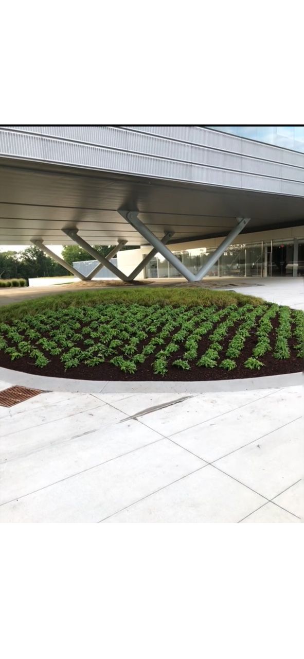 Modern building entrance with a circular flower bed and geometric steel supports