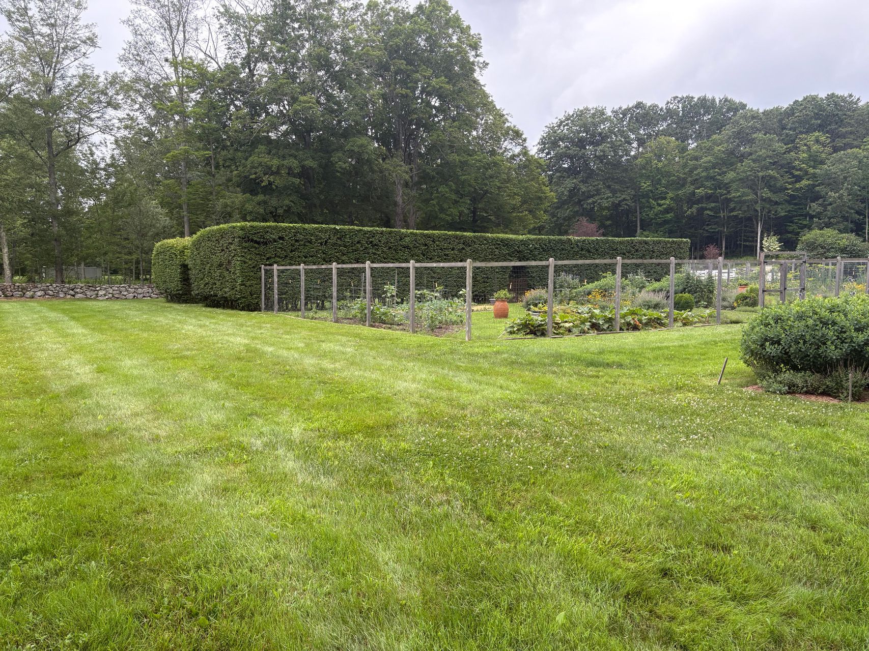 Lush green garden with a fenced vegetable plot, trimmed hedges, and tall trees under an overcast sky
