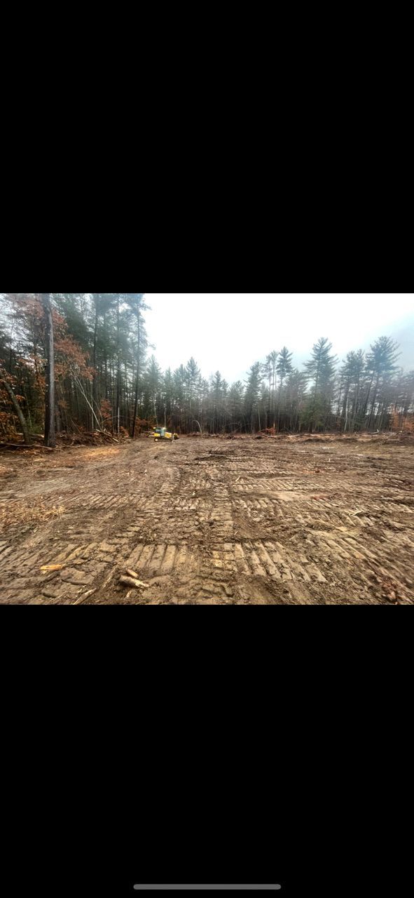 Cleared dirt lot bordered by bare trees and a forest under an overcast sky.