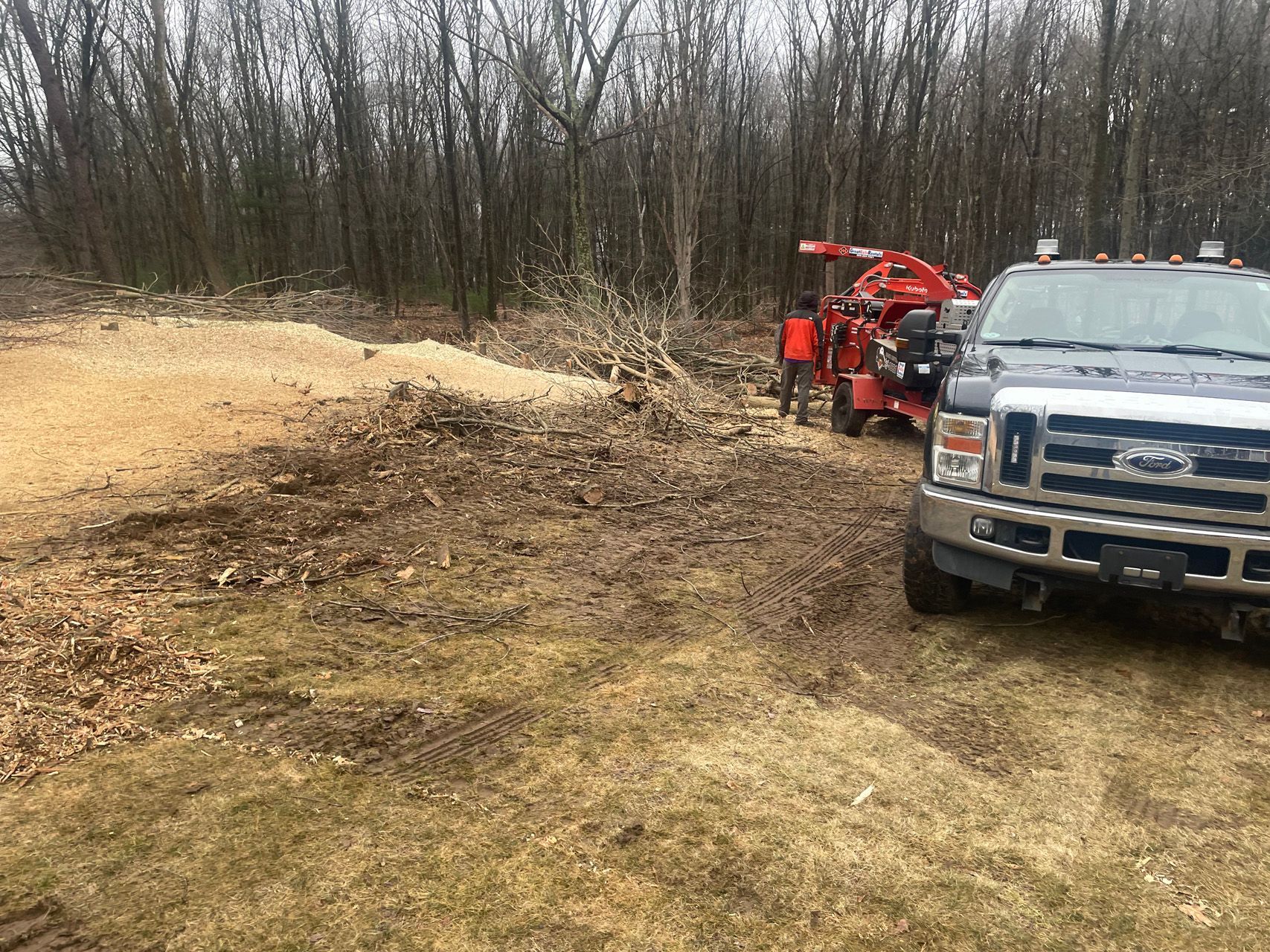 Truck and red wood chipper beside a large brush pile in a wooded field